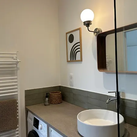 公寓 Le Patio Du Velay 1 - 2/4 Pers En Centre
